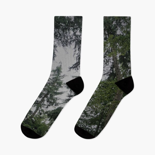 Item preview, Towering Trees in the New Forest, England designed and sold by PowderLanePress.