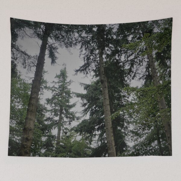 Item preview, Towering Trees in the New Forest, England designed and sold by PowderLanePress.
