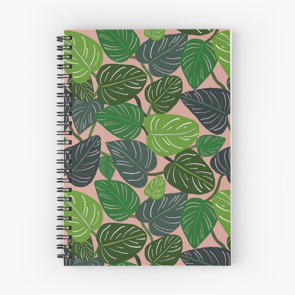 Item preview, Tropical Pin-stripe Calathea Leaves Indoor Plant designed and sold by Lozzie Eliza Designs.