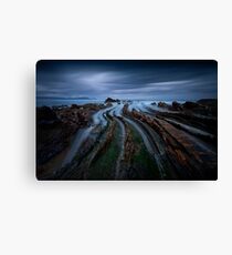 Addictive Curves Canvas Print