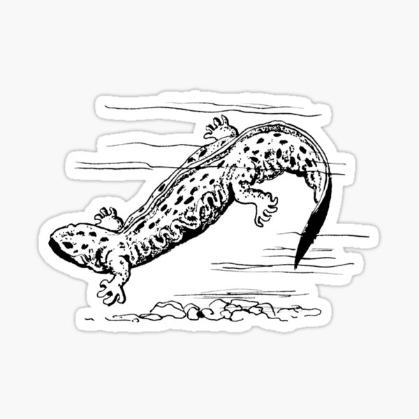 Item preview, Salamander designed and sold by DelirusFurittus.