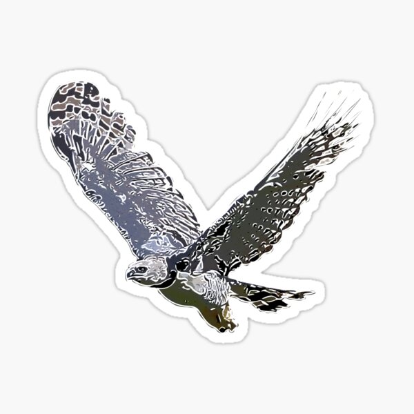 Harpy Eagle Sticker for Sale by alandodrawing