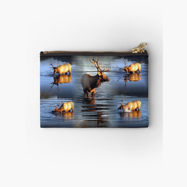 Item preview, Splish Splash designed and sold by Jan Landers.