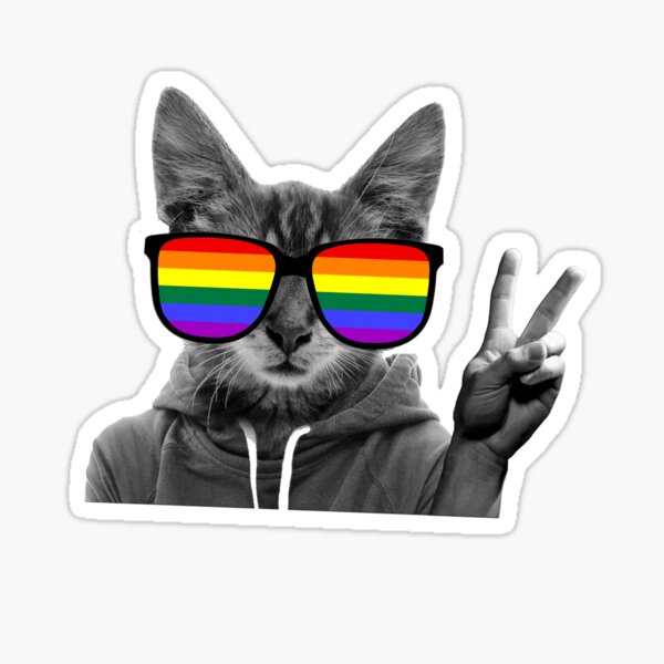 Cool Cat Sticker