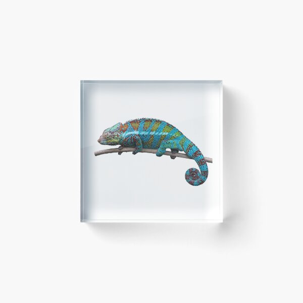 Item preview, Chameleon designed and sold by LADYGOODMOOD.