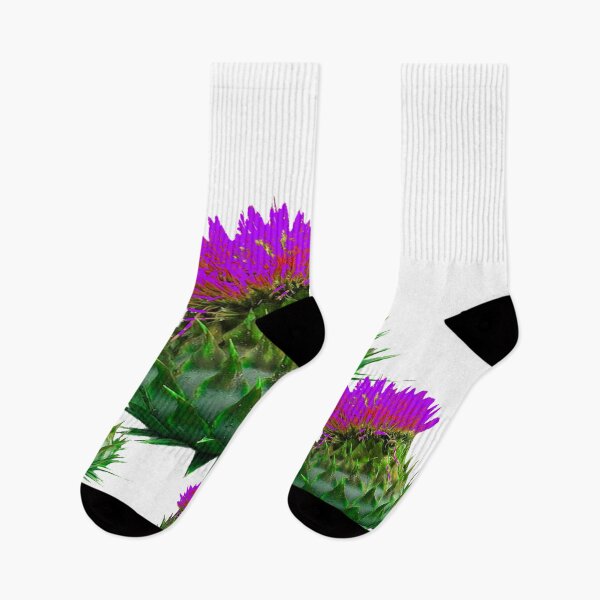 Item preview, SCOTTISH PURPLE THISTLE FLOWERS ART designed and sold by sharlesart.