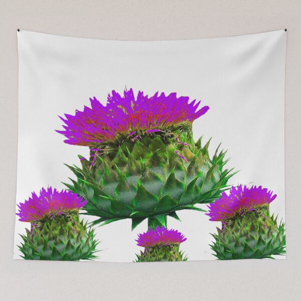 Item preview, SCOTTISH PURPLE THISTLE FLOWERS ART designed and sold by sharlesart.