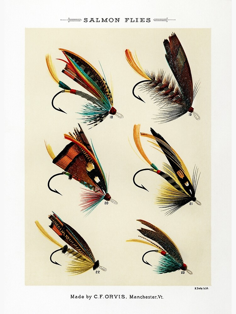 Fishing Lure Fly Illustration Canvas Painting Fishing Poster Rod