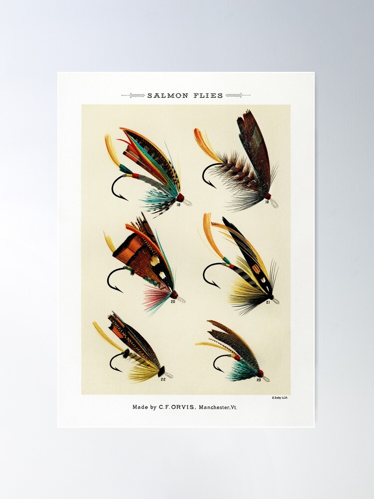 Vintage Fly Fishing Print - Trout Flies Framed Art Print by SFT Design  Studio