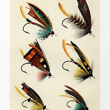Maîtriser l'art de pêcher le saumon : Le guide incontournable