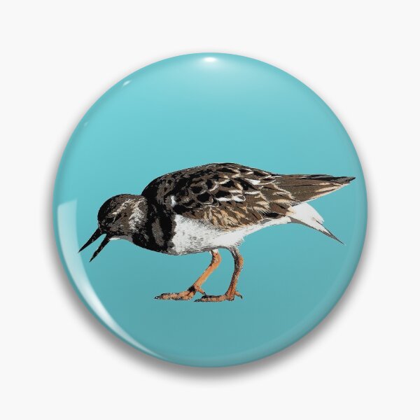 Item preview, Ruddy Turnstone Color Print  designed and sold by designsasstultd.