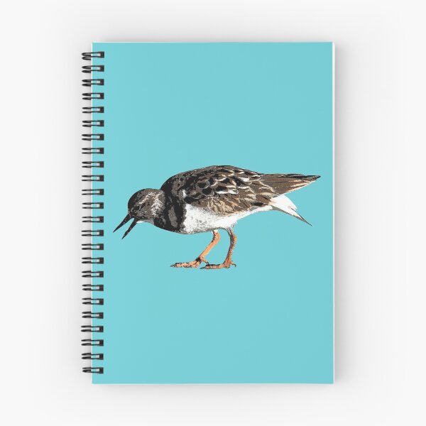 Item preview, Ruddy Turnstone Color Print  designed and sold by designsasstultd.