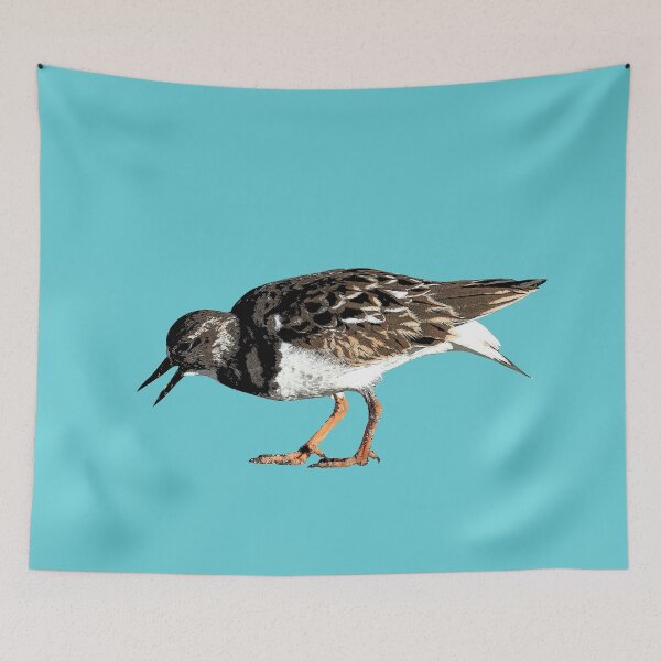 Item preview, Ruddy Turnstone Color Print  designed and sold by designsasstultd.