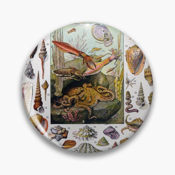 Item preview, Snail and Clam Poster by Adolphe Millot designed and sold by redoARTstore.