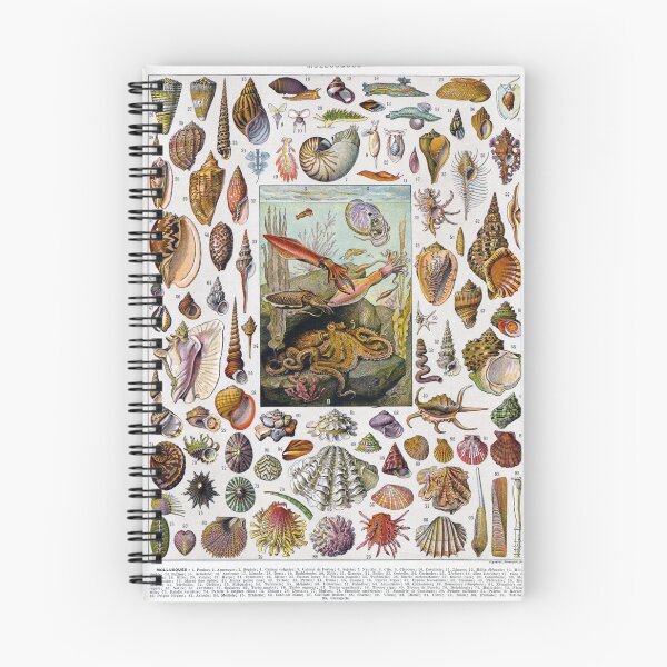 Item preview, Snail and Clam Poster by Adolphe Millot designed and sold by redoARTstore.