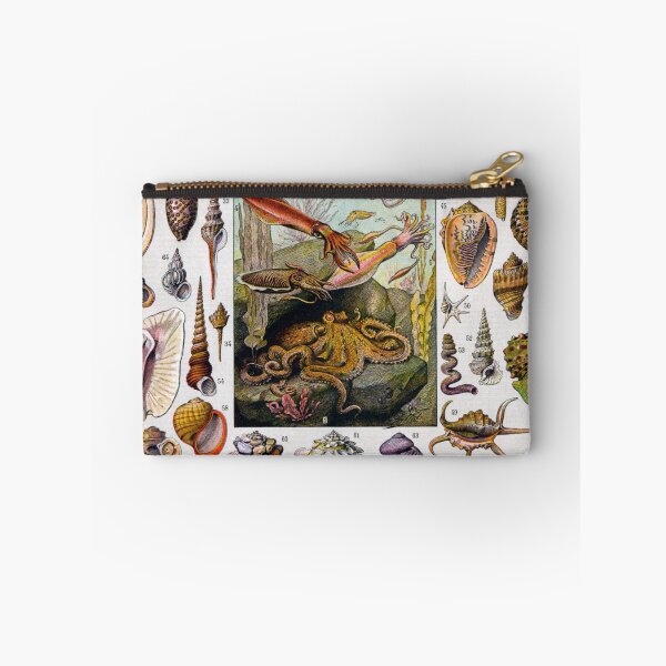 Item preview, Snail and Clam Poster by Adolphe Millot designed and sold by redoARTstore.