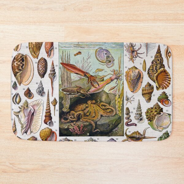 Item preview, Snail and Clam Poster by Adolphe Millot designed and sold by redoARTstore.