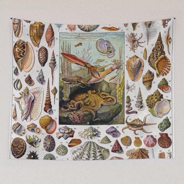 Item preview, Snail and Clam Poster by Adolphe Millot designed and sold by redoARTstore.