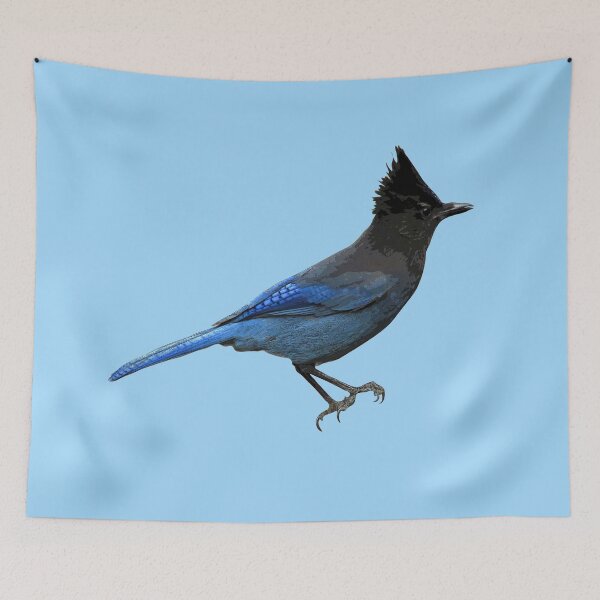 Item preview,  Steller's Jay Color Print  designed and sold by designsasstultd.