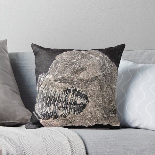 Item preview, The Fossil designed and sold by wjclark63.