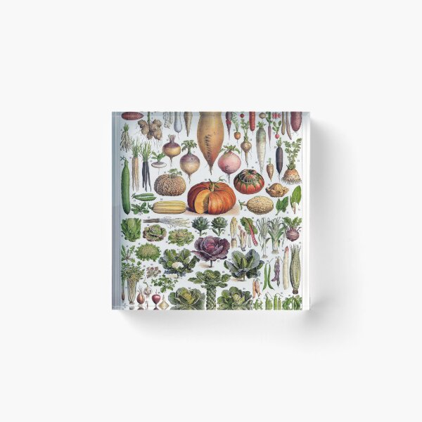 Item preview, Vegetables by Adolphe Millot designed and sold by redoARTstore.
