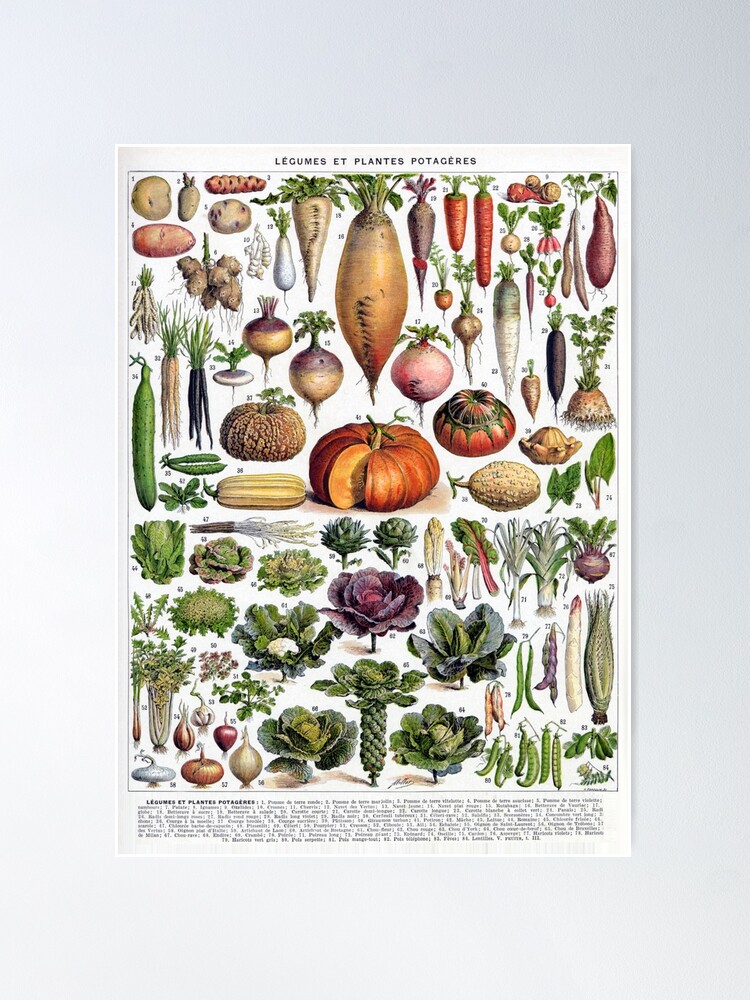 The Universal Food Chopper Commercial Poster for Sale by redoARTstore