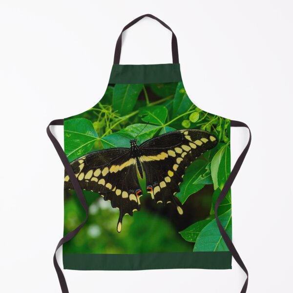 Item preview, Giant Swallowtail Butterfly designed and sold by mljdwhite.