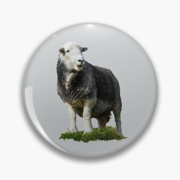 Item preview, Herdwick Sheep Placement Print designed and sold by Jane Stanley Photography.