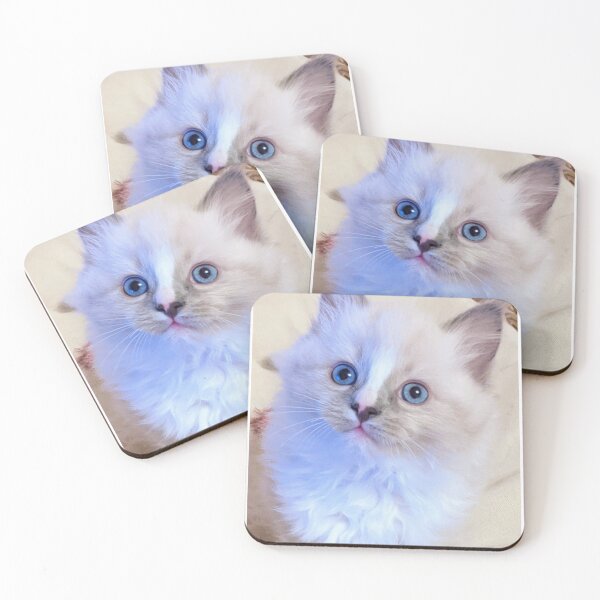 Item preview, Ragdoll kitten designed and sold by Fluffycat2020.