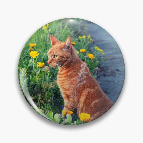 Item preview, Orange Cat With Flowers Photograph designed and sold by Designs24U.