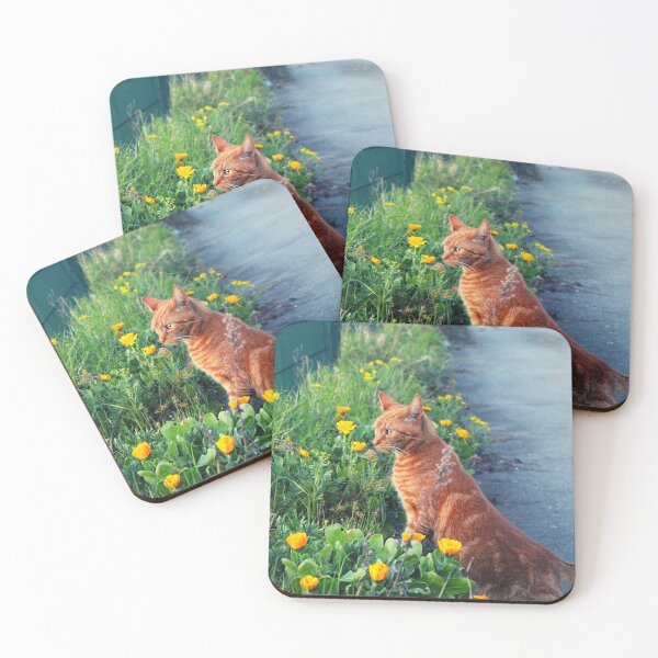 Item preview, Orange Cat With Flowers Photograph designed and sold by Designs24U.