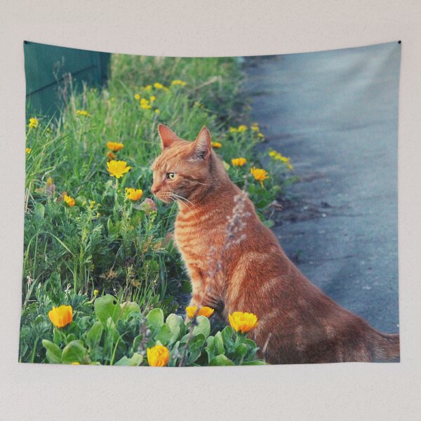 Item preview, Orange Cat With Flowers Photograph designed and sold by Designs24U.