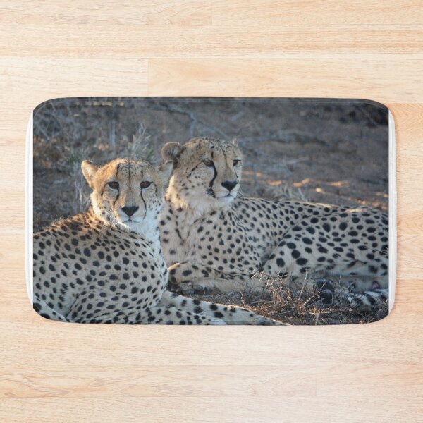Item preview, Two cheetahs designed and sold by Roy-Babiuk.