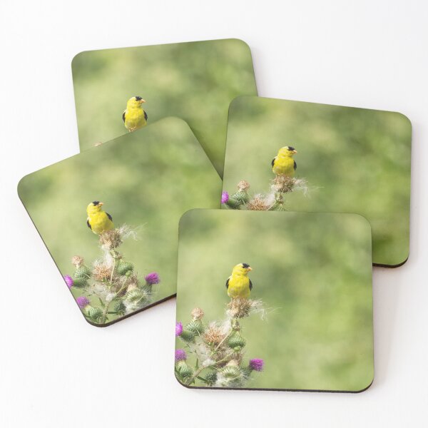 Item preview, American Gold Finch 2013-4 designed and sold by Thomasyoung.