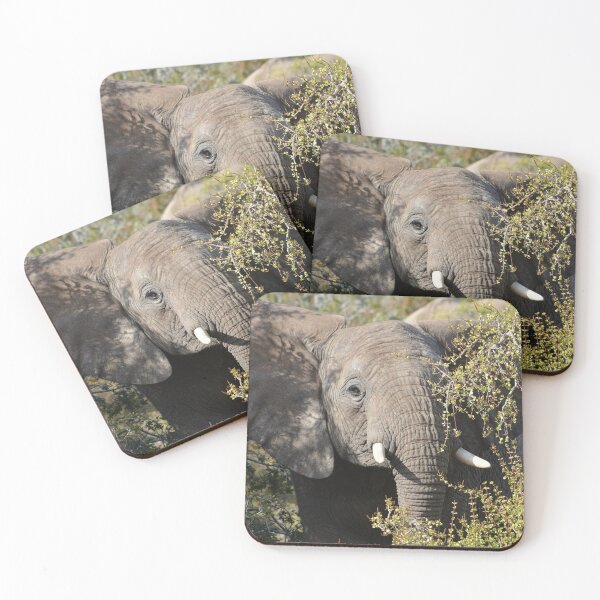 Item preview, Young elephant in the trees designed and sold by Roy-Babiuk.