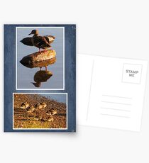 Precious Love Postcards
