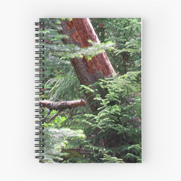 Item preview, Forest Magic designed and sold by Jan Landers.