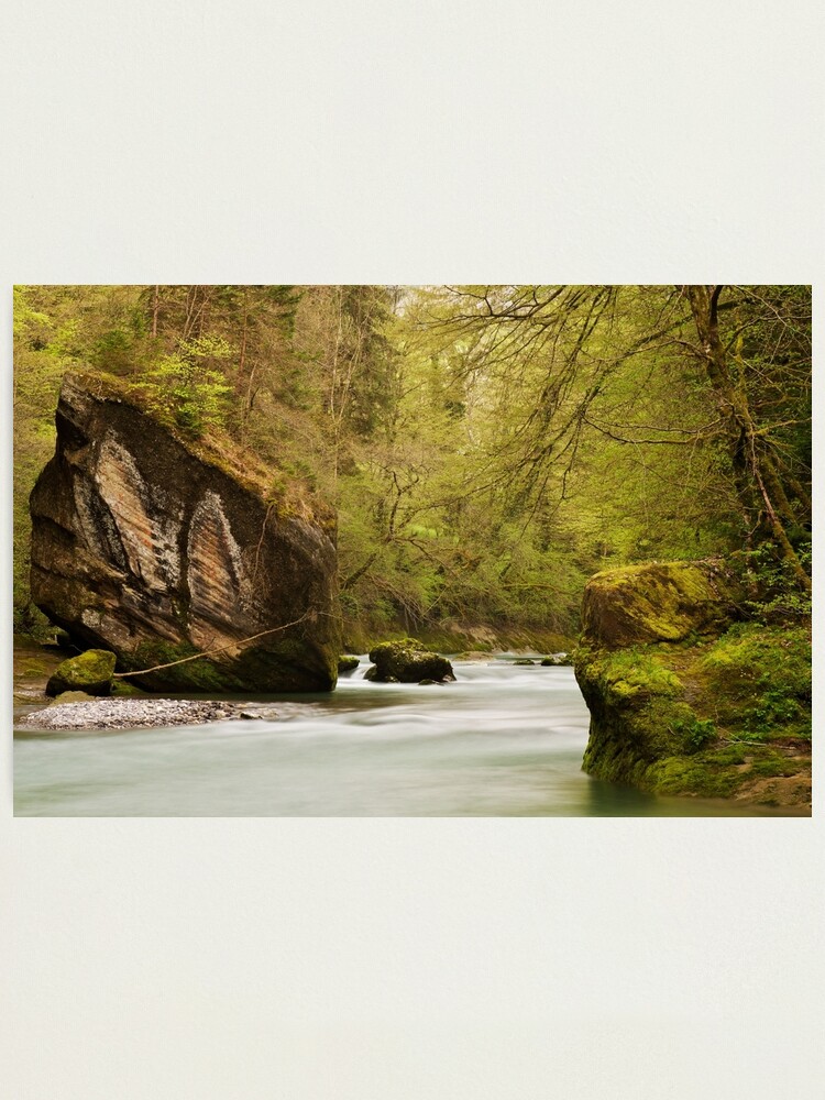 Alternate view of Springtime glory Photographic Print