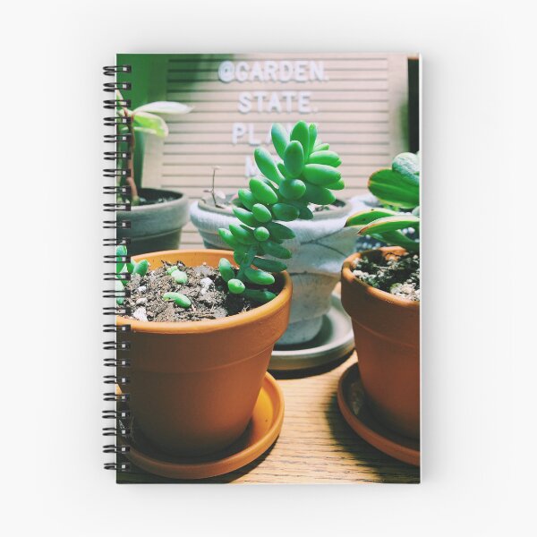 Artikelvorschau, Burros Schwanz saftig entworfen und verkauft von grdnstplantmom.