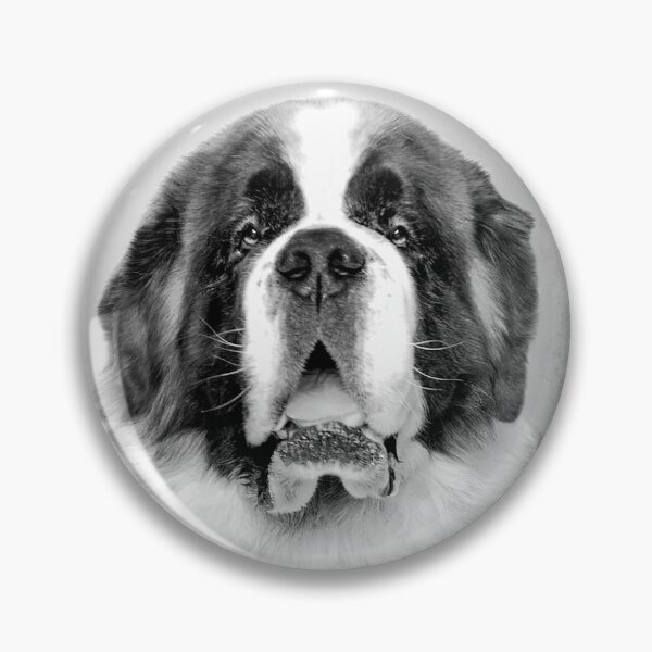 Item preview, Saint Bernard dog - BW Vintage - D60 designed and sold by DecoVintage.