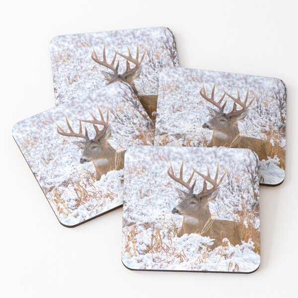 Item preview, White tailed deer at rest. designed and sold by CanadianWild418.