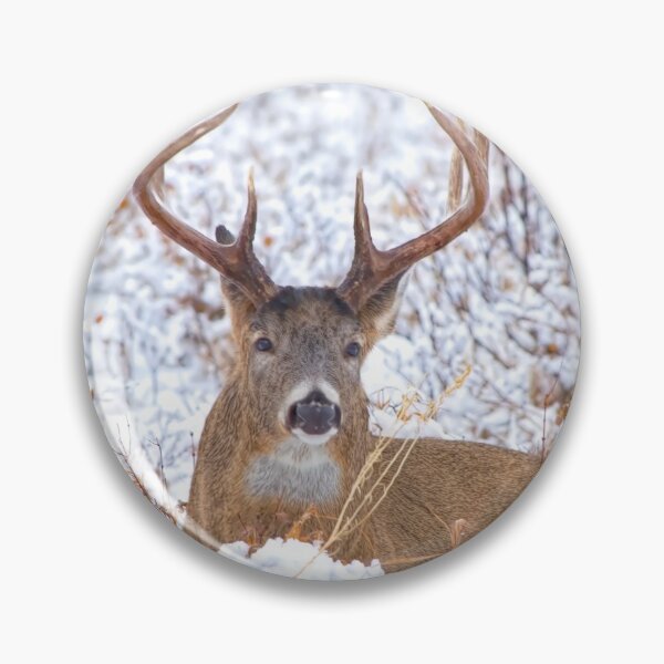 Item preview, White tailed buck designed and sold by CanadianWild418.
