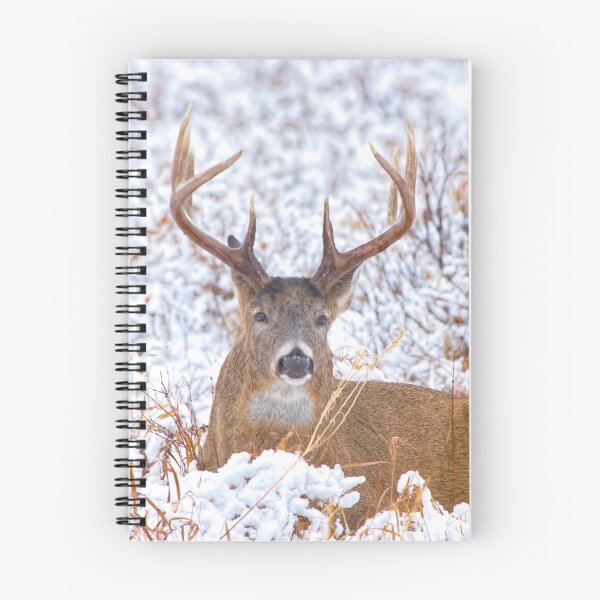Item preview, White tailed buck designed and sold by CanadianWild418.