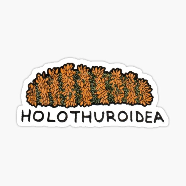 Artikel-Vorschau von Seegurke (Holothuroidea), designt und verkauft von alogism.