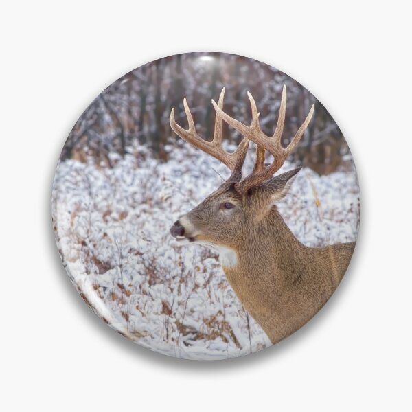 Item preview, Deer in the park. designed and sold by CanadianWild418.