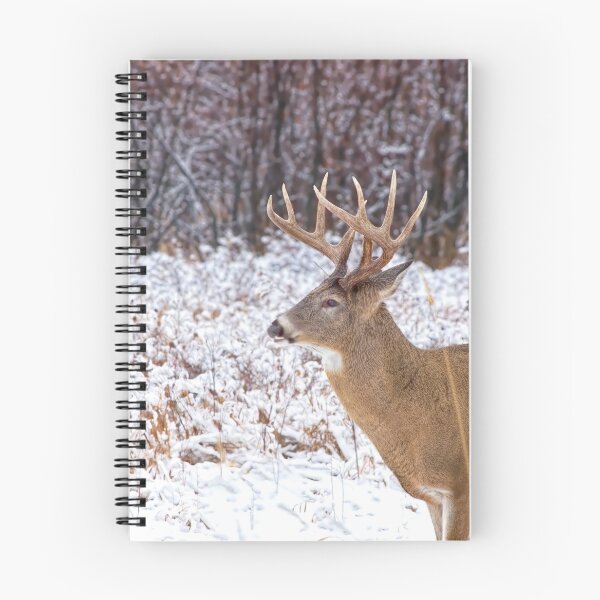Item preview, Deer in the park. designed and sold by CanadianWild418.