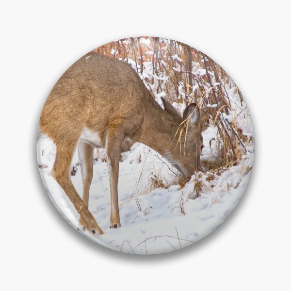 Item preview, Doe foraging for food designed and sold by CanadianWild418.