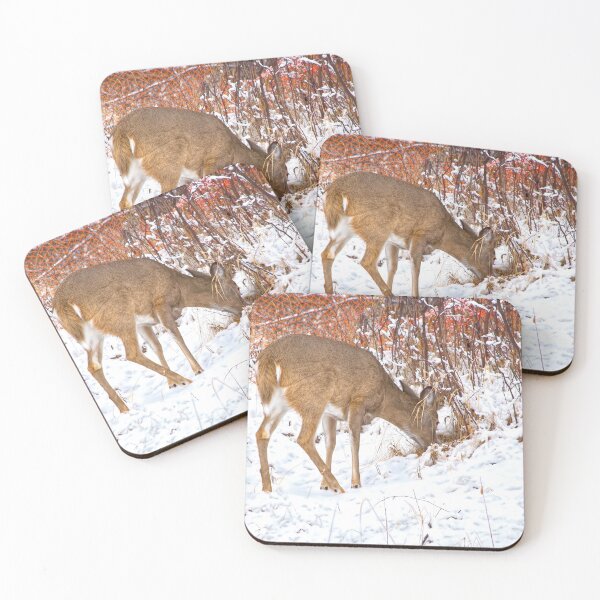 Item preview, Doe foraging for food designed and sold by CanadianWild418.