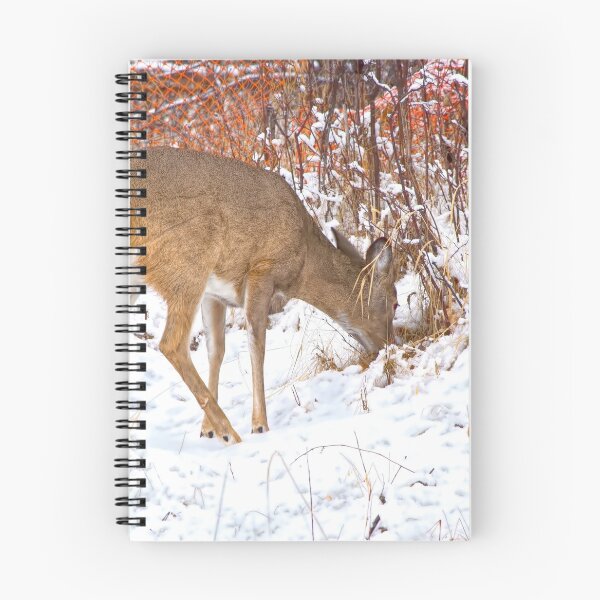 Item preview, Doe foraging for food designed and sold by CanadianWild418.