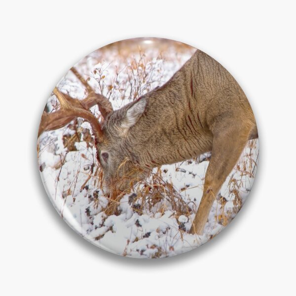 Item preview, White tailed deer designed and sold by CanadianWild418.